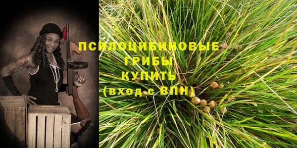 каннабис Абаза